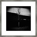 The Art Of Light - Monochrome Framed Print