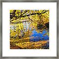 The Autumn Leaves Framed Print