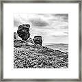 The Balance Of Nature Framed Print