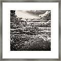 The Basin And Snails Framed Print