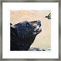 The Bear And The Hummingbird Framed Print