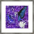 The Beauty Of Sharing - Purple Framed Print