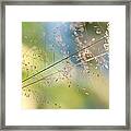 The Beauty Of The Earth. Natural Watercolor Framed Print