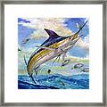 The Blue Marlin Leaping To Eat Framed Print