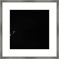 The Cat That Walked By Himself Framed Print