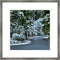 The Christmas House Framed Print