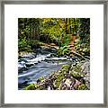 The Clare Glens Framed Print