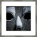 The Cold Stare Framed Print