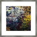 The Colours Of Autumn Framed Print