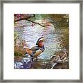 The Colours Of Spring Framed Print