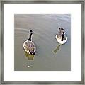 The Courtship Framed Print