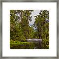 The Cypress Garden Framed Print