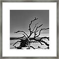 The Dead In Black And White Framed Print