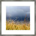 The Tall Grass Waves In The Wind Framed Print