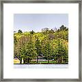 The Early Greens Of Spring Framed Print