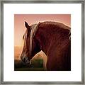 The End Of A Long Day At The Ranch Framed Print