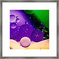 The Far Side Moons Framed Print