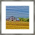 The Farm Framed Print