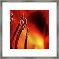 The Fire Within Framed Print