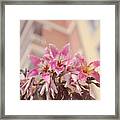 The Flowers Of Malaga Framed Print