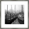 The Fog Is Lifting Framed Print