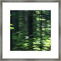 The Forest For The Trees Framed Print