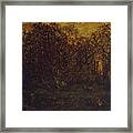 The Forest In Winter At Sunset Framed Print