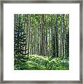 The Forest Trail Framed Print