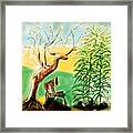 The Garden At Cca Framed Print