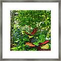 The Garden Framed Print