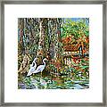 The Gathering - Louisiana Swamp Life Framed Print