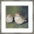 The Glass Birds Framed Print