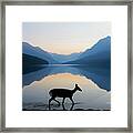 The Grace Of Wild Things Framed Print