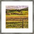 The Grass Is Always Greener1 Framed Print