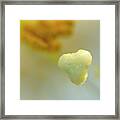 The Heart Of A Lily Framed Print