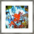 The Heart Of Autumn Framed Print