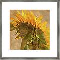 The Heat Of Summer Framed Print