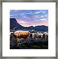 Texas Longhorns Blue Framed Print