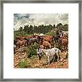 The Herd Framed Print