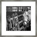 The Horse Framed Print