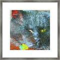 The Impressionist Framed Print