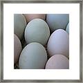The Incredible Eggs Framed Print