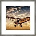 The Joy Of Flight Framed Print