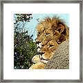 The King And Queen 1 Framed Print