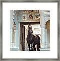 The King Framed Print