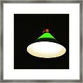 The Lamp Framed Print