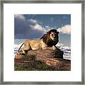 The Lazy Lion Framed Print