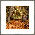 The Leaves Have Fallen Framed Print