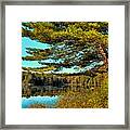The Little Known Cary Lake Framed Print
