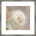 The Living Rose Framed Print